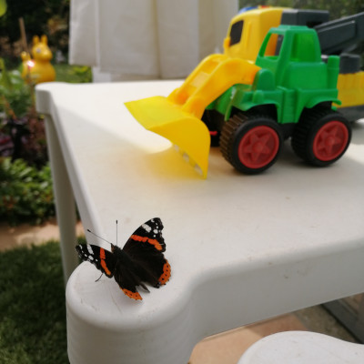 Im Garten Im Garten